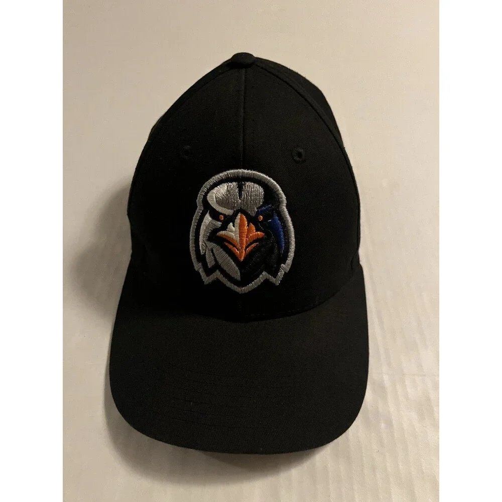 Aberdeen Ironbirds Orioles MiLB Minor League YOUTH Hook Loop Baseball Hat One Sz